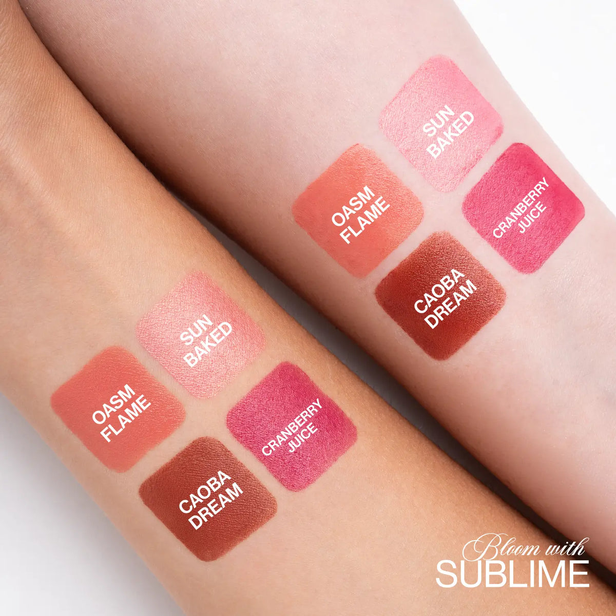 RUBOR EN STICK SUBLIME